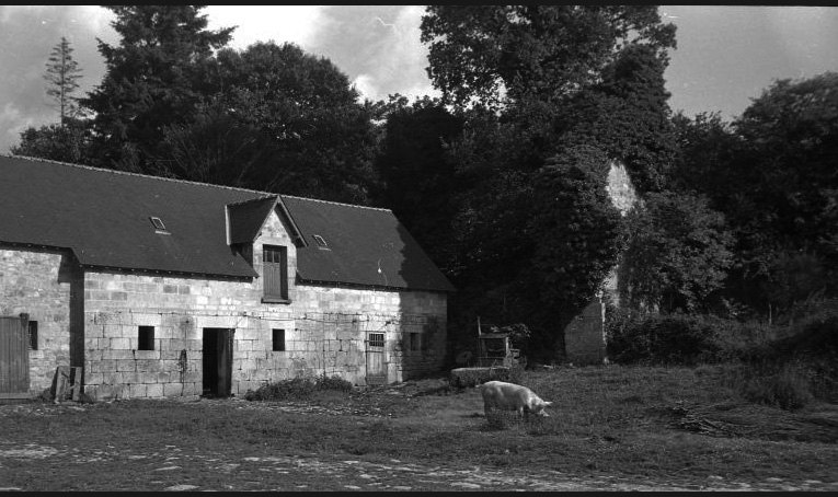 photo guidfosse en 1965-4-4